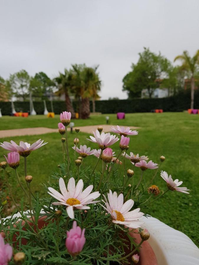 Отель I Giardini Del Novecento Ламеция-Терме Экстерьер фото